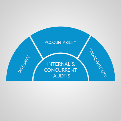 Internal and Concurrent Audits