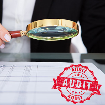 Statutory Audits as per the Companies Act, 2013